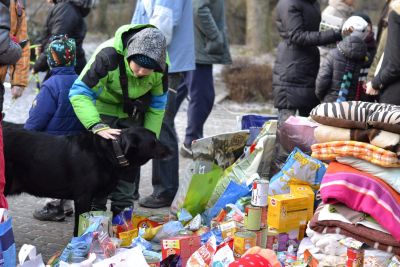 Vianoce v útulku vykúzlili úsmev na tvárach