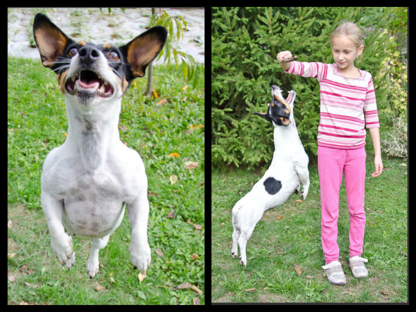 10 dôvodov, prečo dieťaťu zaobstarať domáceho maznáčika