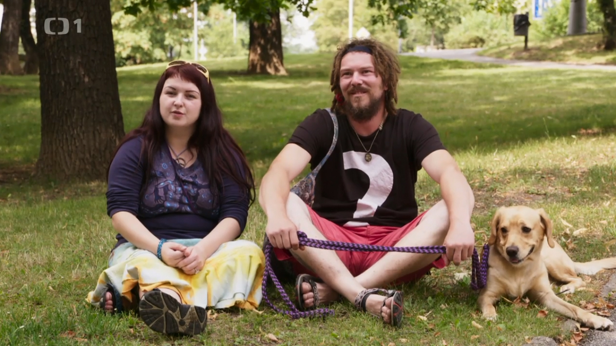 Tip na televízny program: Mačka nie je pes