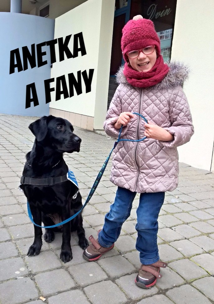 Dobré správy v novom roku