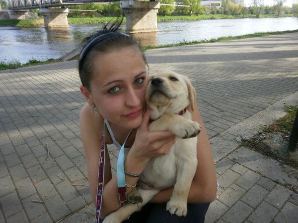 Psie vs. mačacie ľudia podľa Facebooku