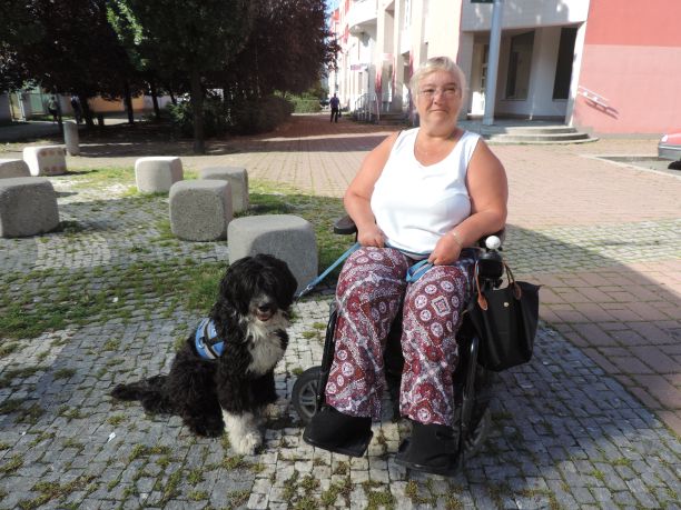 Prvé asistenčné portugalský vodný pes v SR