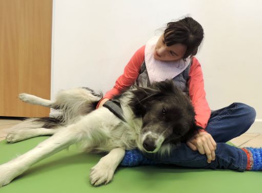 Prispejte Janke na asistenta Gucciho