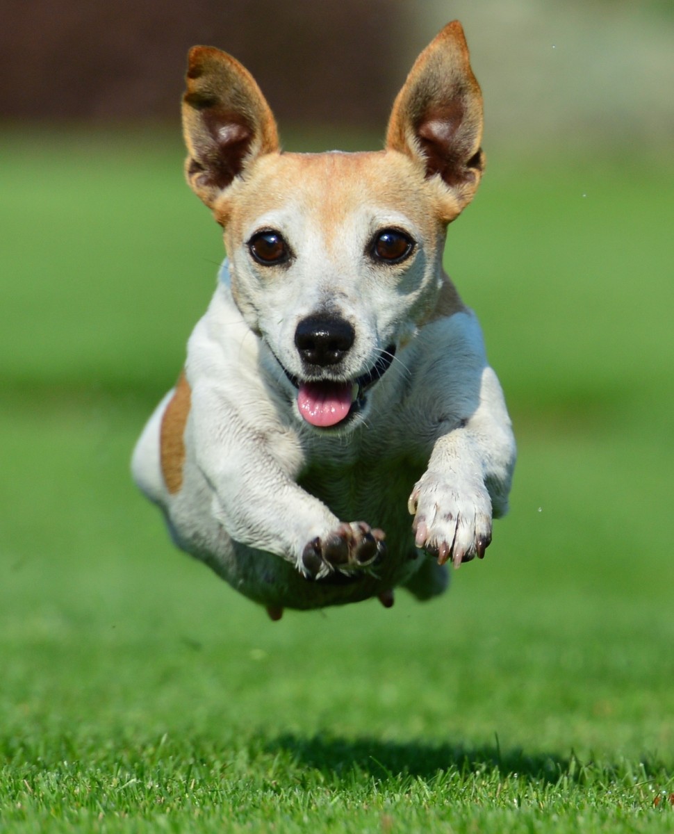 Nová fotosúťaž na tému: Všade dobre, vonku najlepšie!