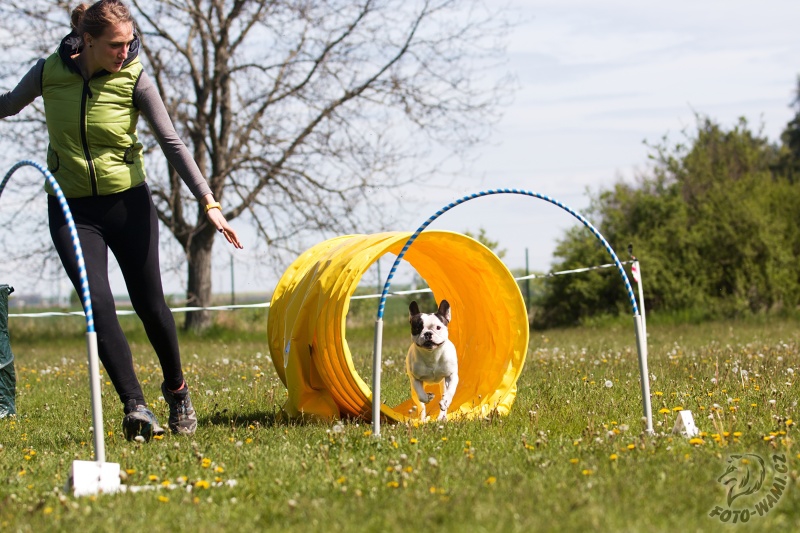 Ohliadnutie za prvými Hoopers preteky v Česku