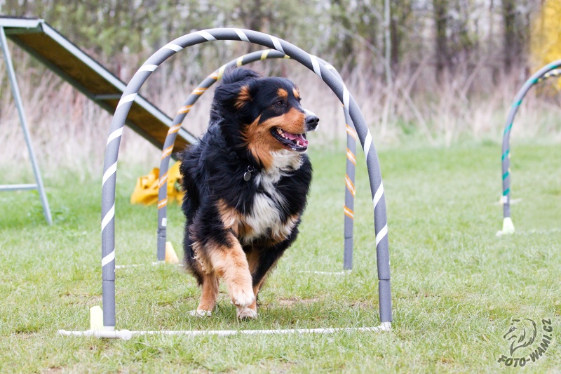 Hoopers, nový šport bez hraníc