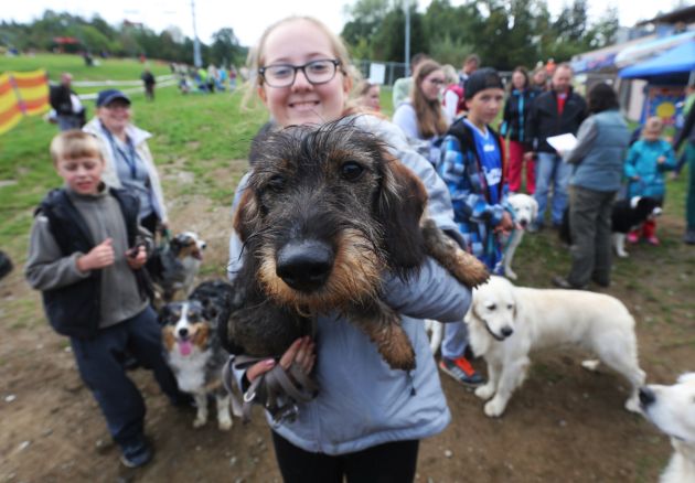Monínec bude opäť patriť psom