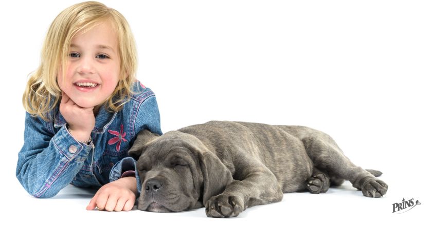 8 skvelých tipov pre deti a psy