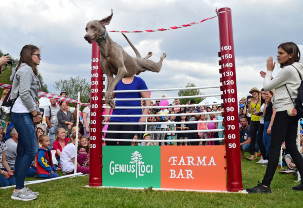 Milovníci psov aj celebrity si užili Psie deň s Prahou 13