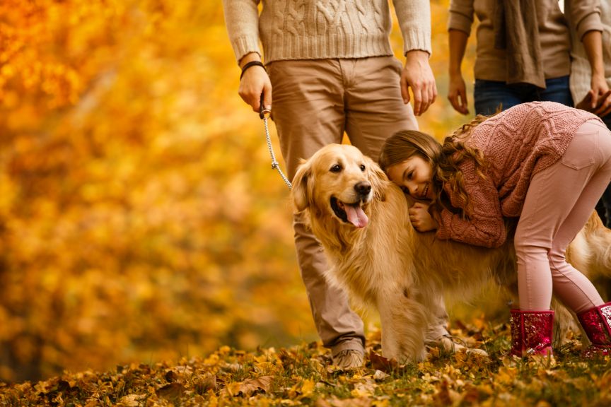 Alergia na blšie uhryznutie