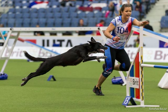Liberec pozná majstrami sveta v agility