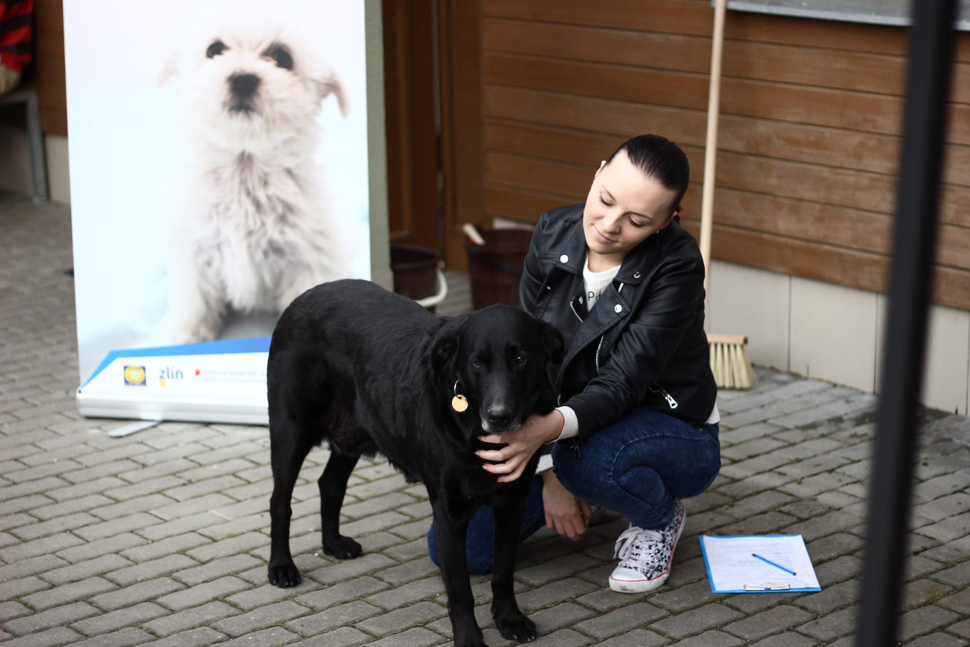 Príďte s nemo tvárou privítať jar do Útulku pre zvieratá v núdzi Zlín-Vršava