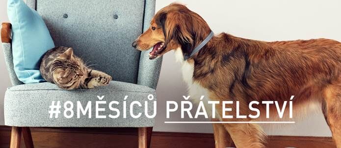 Zažite 8 perfektných mesiacov s vaším šteňaťom