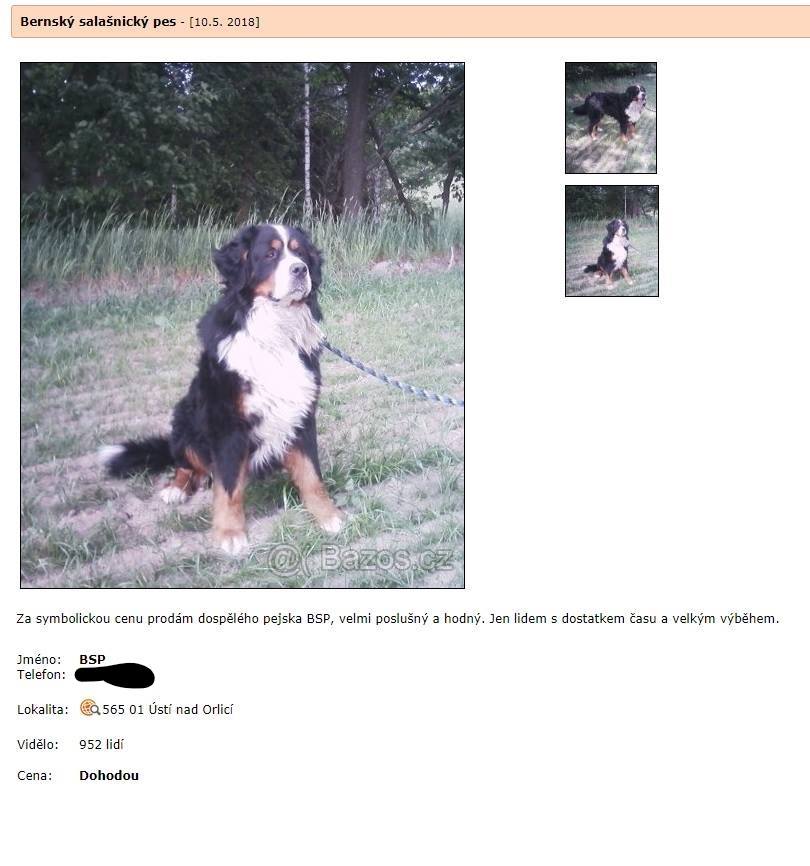 Pomôžte nájsť strateného psíka