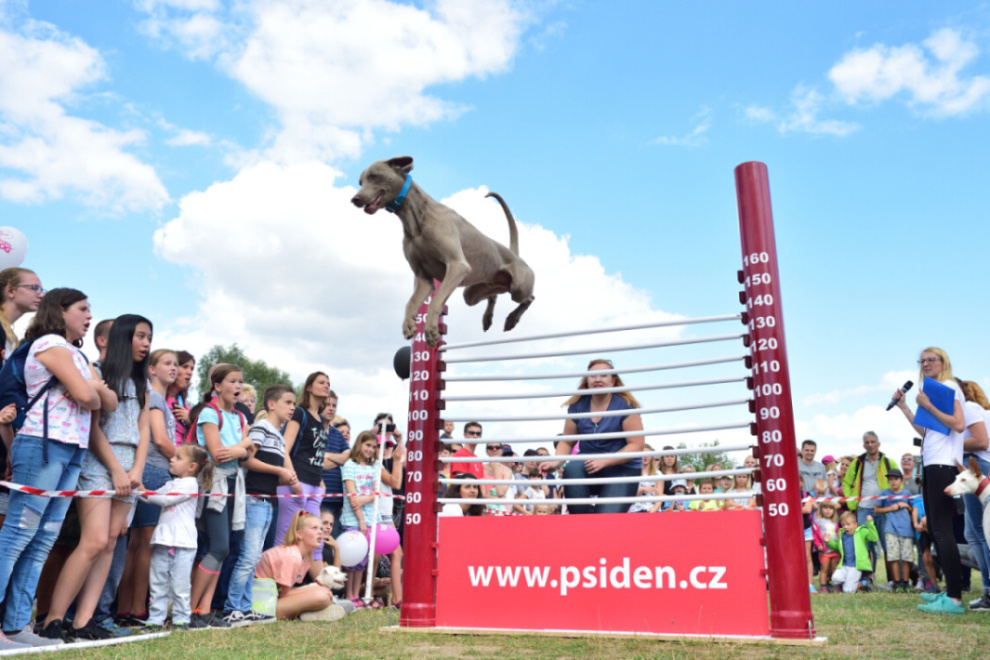 Kedy pes preskočí svojho pána