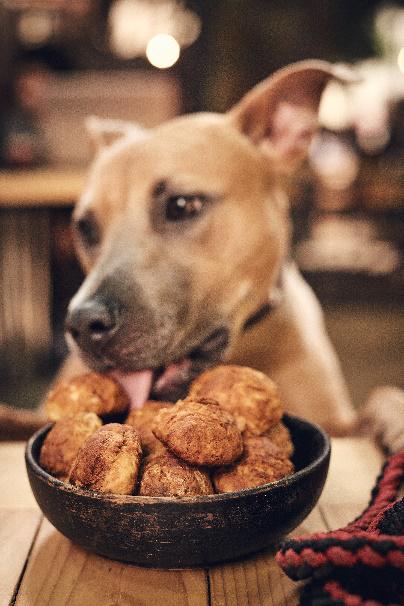 Sušienky proti cestovným nevoľnostiam