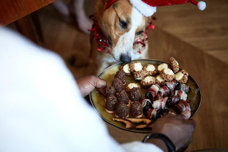 Cukroví, na ktorom si váš pes zaručene pochutí