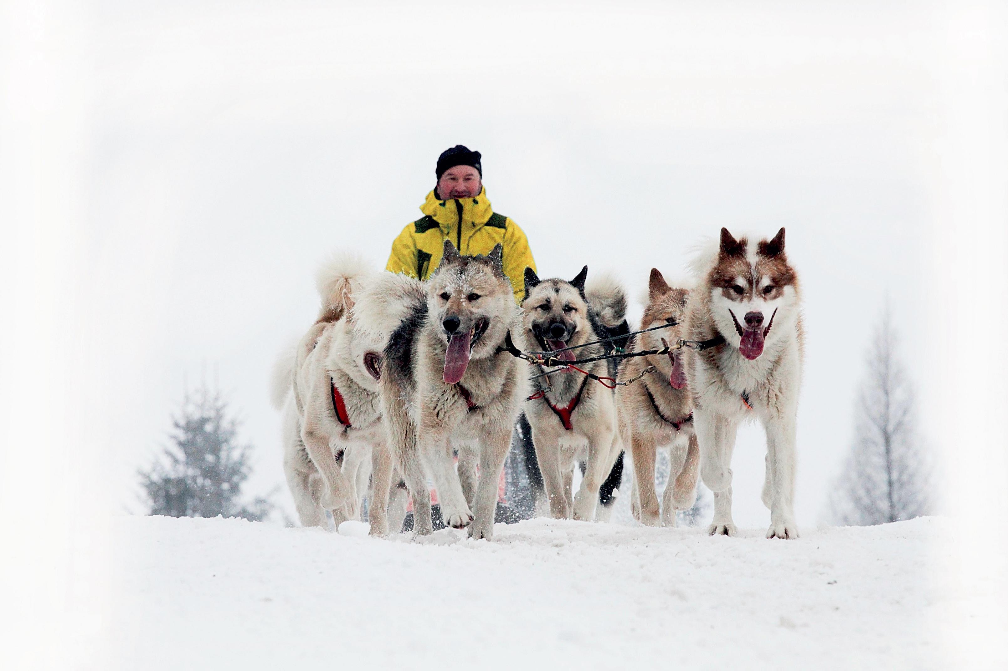 V Deštné v Orlických horách odštartoval 23. ročník Šediváčkova Longu