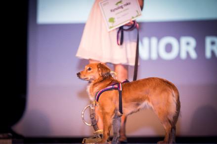 Blíži sa vyhlásenie ankety kynológov roku 2018