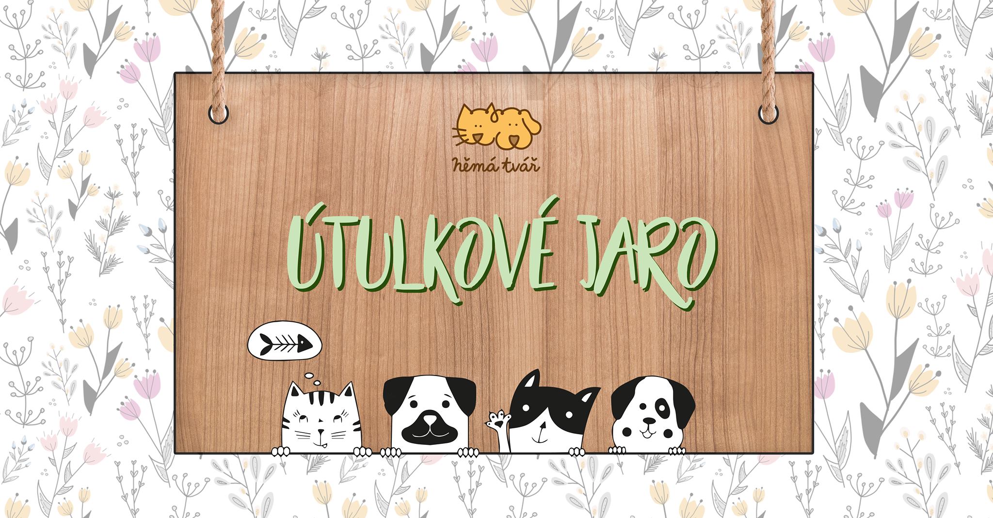 Oslava jari vo zlínskom útulku