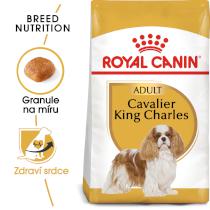 Royal Canin KAVALIER KING CHARLES
