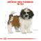 Royal Canin Shih Tzu Puppy - granule pre šteňa Shih Tzu
