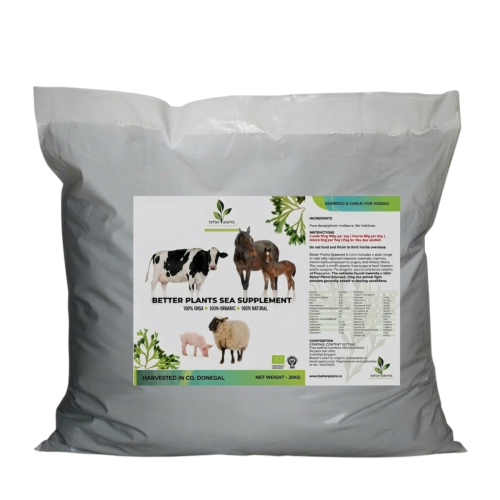 Ibero Natural Kelp / Seaweed - 20kg