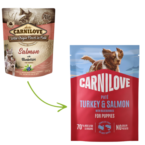 Carnilove Dog Puppy Paté 300g - Turkey & Salmon with Blueberries