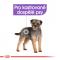 Royal Canin Sterilised Dog Loaf - kapsička s paštikou pro kastrované psy