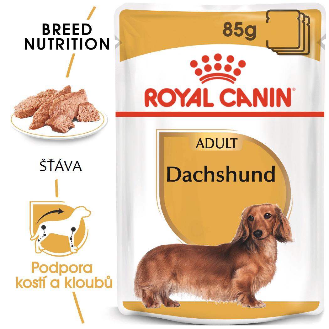 Royal Canin Dachshund Loaf - kapsička s paštétou pre jazvečíka - 12 x 85g