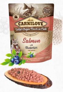 CARNILOVE dog  kapsa PUPPY salmon/blueberries