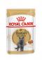 Royal Canin British Shorthair Gravy - kapsička pre britské krátkosrsté mačky v šťave