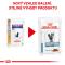 Royal Canin Veterinary Health Nutrition Cat SENSITIVITY CONTROL chicken with rice vrecko