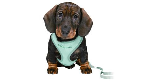 Trixie Postroj Vesta a Vodítko Pre Šteňatá - Mätová